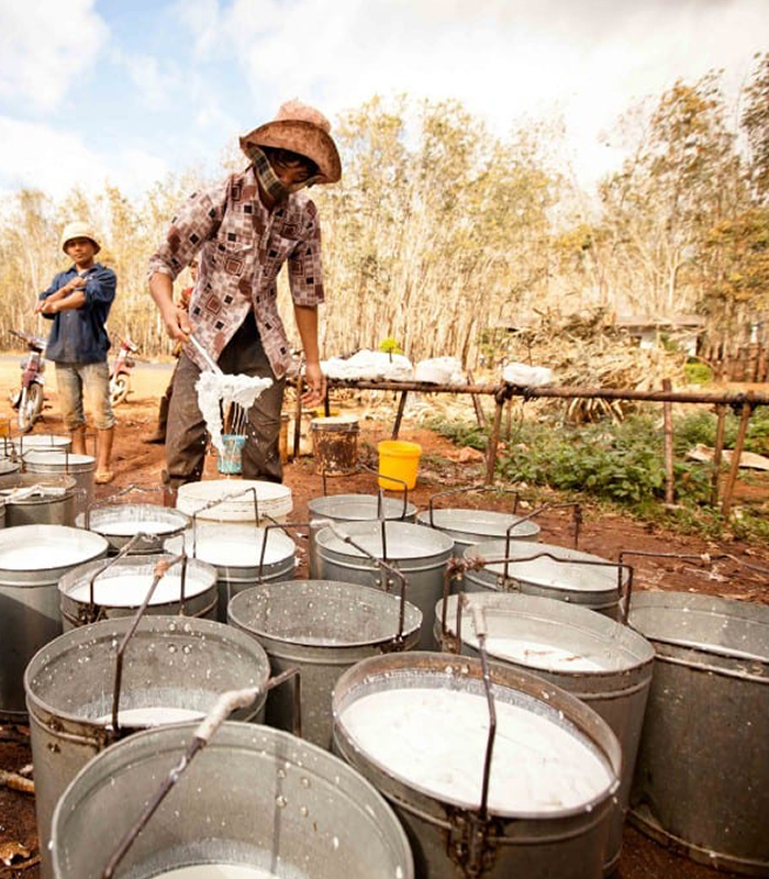 Sorry! Image failed to load