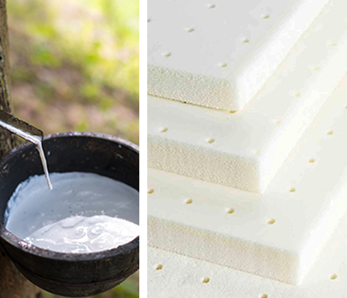 Sorry! Image failed to load