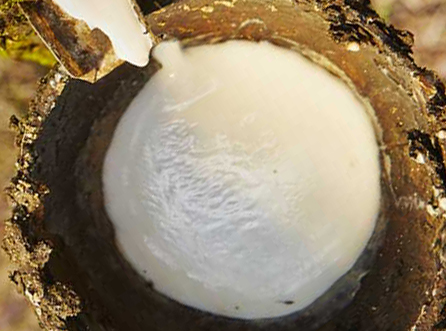 Sorry! Image failed to load